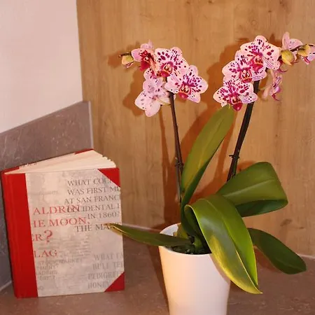 Haus Hermi Apartmán *